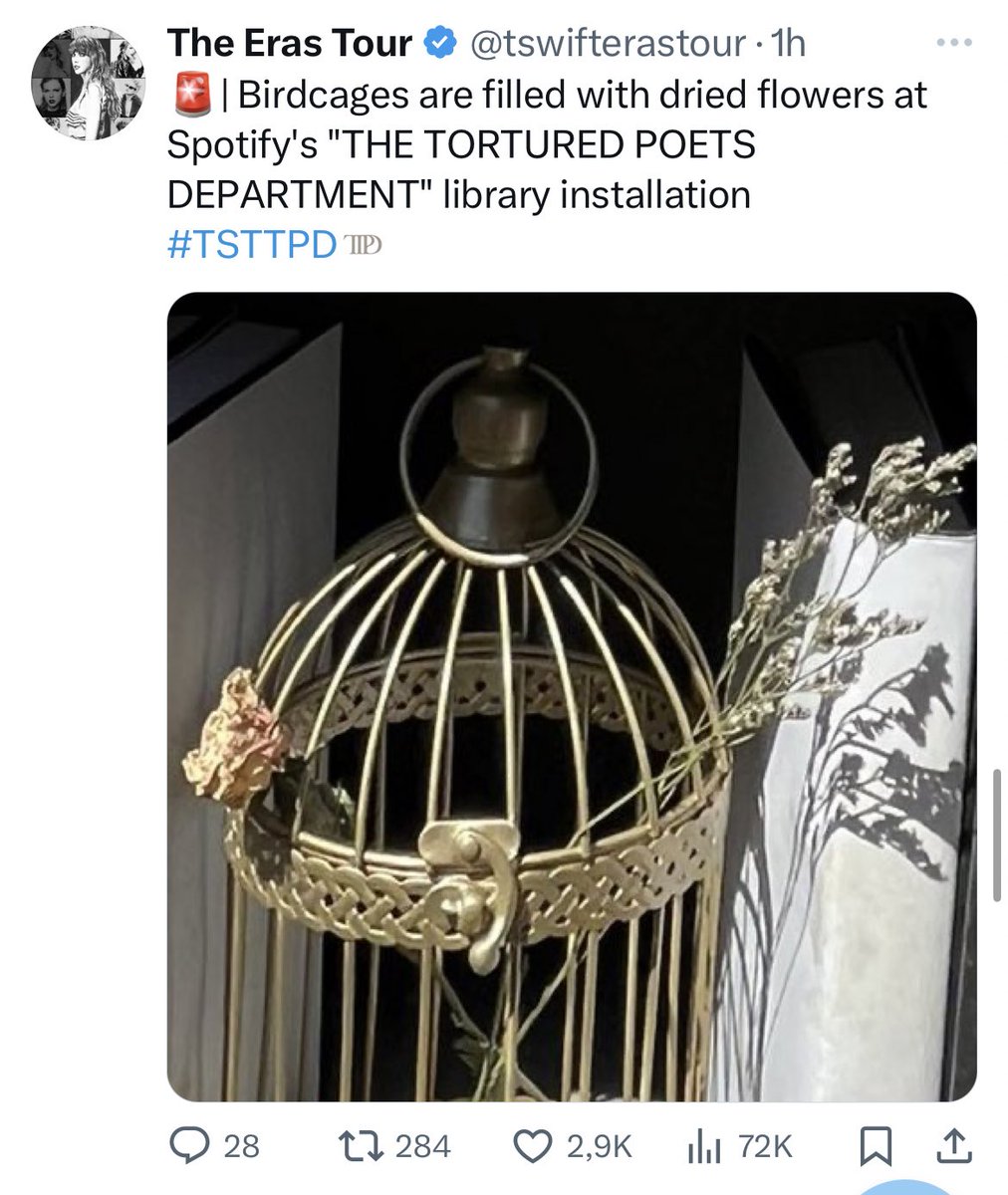redwinets's tweet photo. thank god she became a musician and not a serial killer https://t.co/dQDkc7Auu6