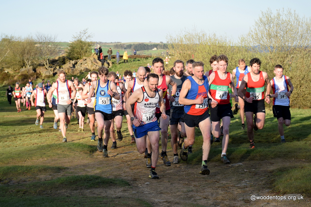 Woodentops tweet media