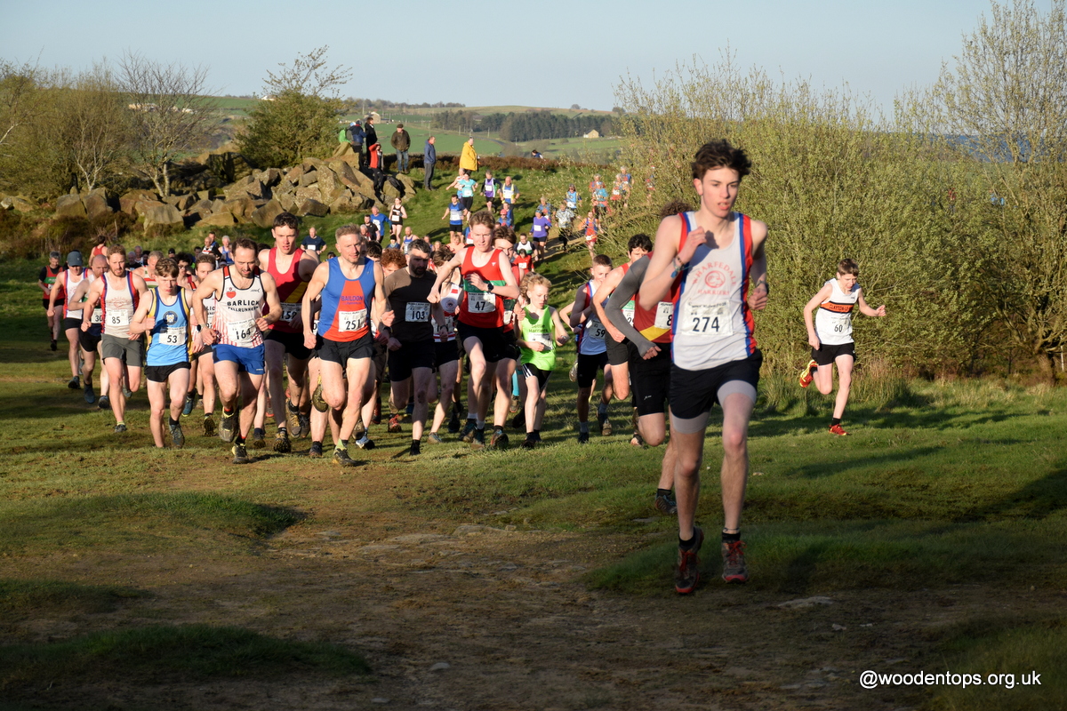 Woodentops tweet media