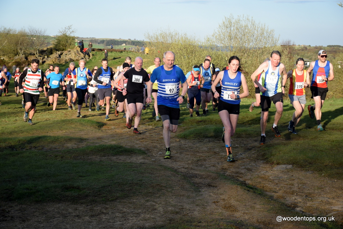 Woodentops tweet media