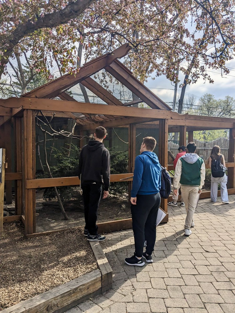 It was a beautiful spring day for a walking ESL Biology field trip to Cosley Zoo! 🐄🦜🐑#YourCommunitySchools