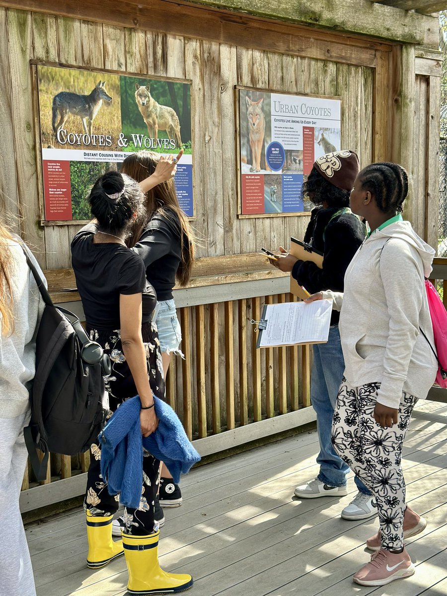 Rachel__Gannon's tweet photo. It was a beautiful spring day for a walking ESL Biology field trip to Cosley Zoo! 🐄🦜🐑#YourCommunitySchools https://t.co/Dk12tiUmNd