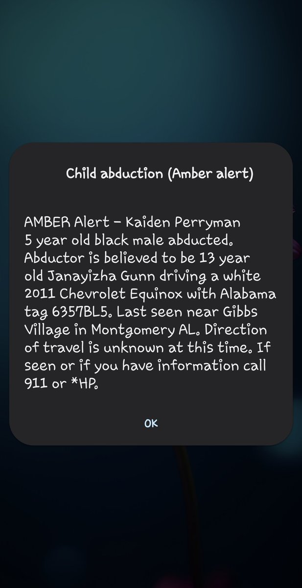 What, wait? A 13 year old abducted a 5 year old?? 😳