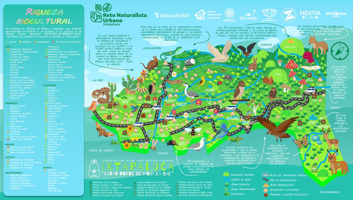 Atzallan's tweet photo. ¡Nuevo #Mapa de Riqueza Biocultural de #Ixtapaluca! He aquí el porqué nuestra comunidad es parte del #CityNatureChallenge #Primavera 2024.
#ConocerParaConservar #NaturalIxtas #AtzallanMeInspira 🌲🦆🐟🦋🐞🦗🌼🐌🌸🪺🦉
✅ MÁS INFORMACIÓN: https://t.co/l6IhNEJUex https://t.co/ccYNMwsasx