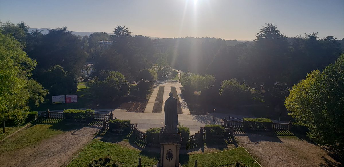 Roy van der Meel tweet media