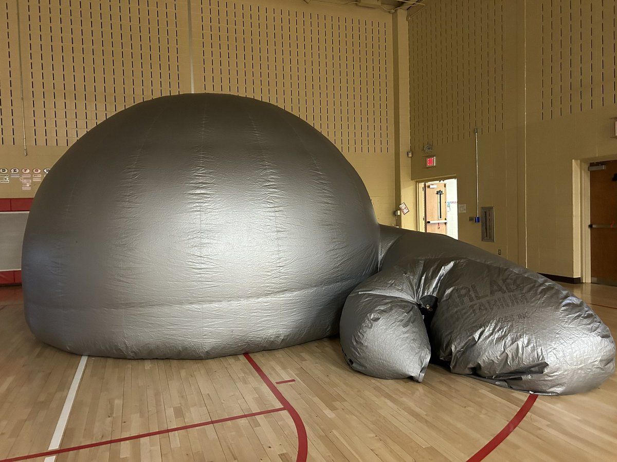 Ms Shein tweet media