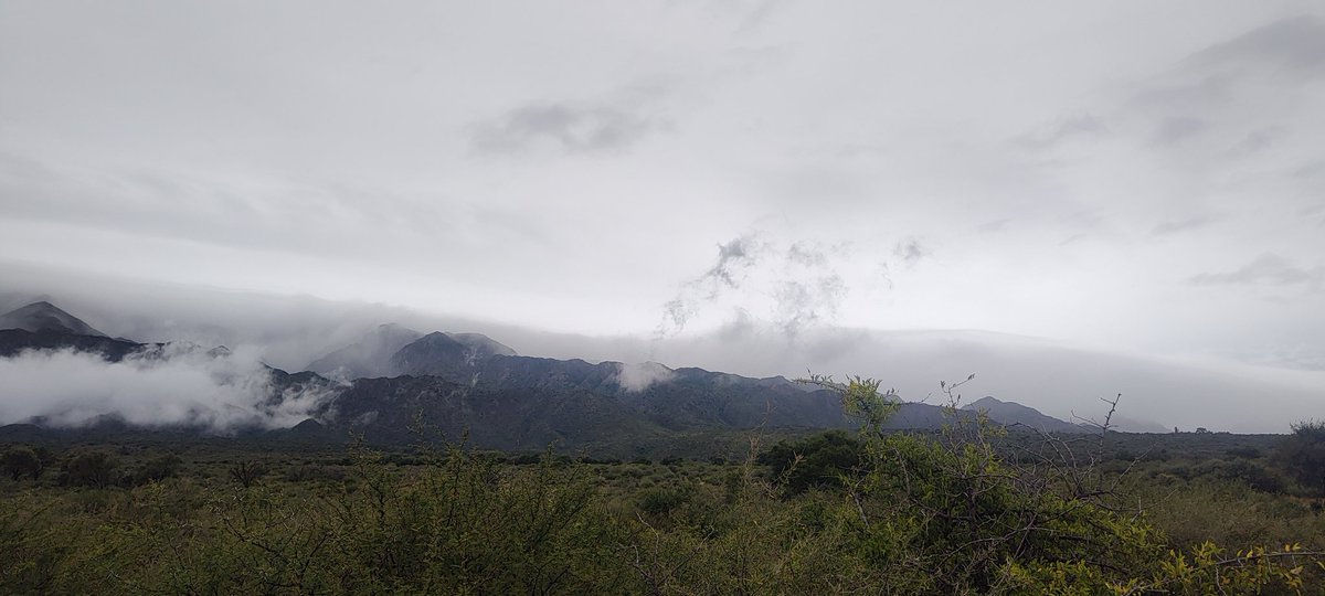 trapiche_el's tweet photo. Estratos o estratocumulos. #SanLuis #Argentina @Imagen_Arg @turisargentina https://t.co/WbInOUYKRM