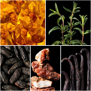wikiparfum's tweet photo. @BestiarioKPDev @BestiarioKPDev Si te encantó 1 MILLION, prueba "THE EYES OF THE TIGER": una fusión embriagadora de maderas y un sutil destello de menta. Perfecto para un aura de misterio y fuerza. 🐅🍃 Encuéntralo aquí: https://t.co/asMdYXEW9j https://t.co/0VgLJGGexu