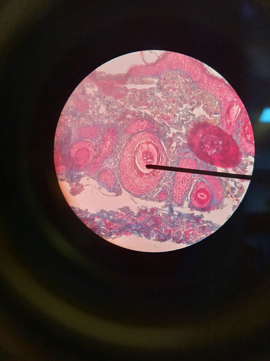 sugashaegeum's tweet photo. günümüz kutlu olsun bizi şimdiden çok seviyorum i'm in this shit for life teşekkürler 🧬🧫🧪🔬🦠
#dünyabiyologlargünü
#biologistsday https://t.co/D2XwbKgoCK