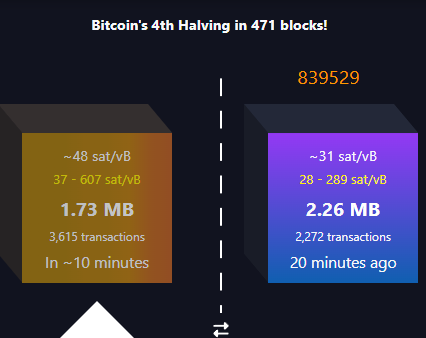 Rune ᚼ Bulls tweet media