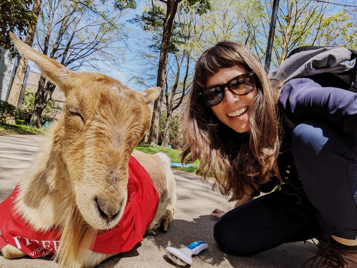 More goats on campus, please.