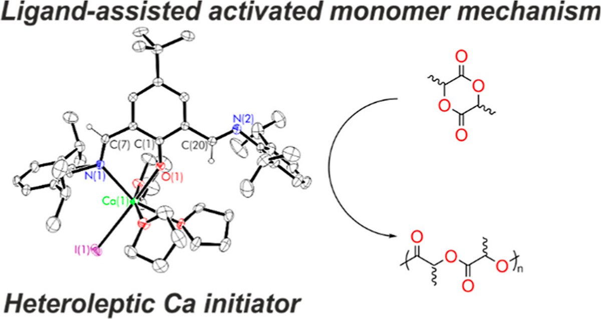 We just want to say one word to you. Just one word. Plastics. O'Hare & team show in 'Heteroleptic Calcium Complexes Supported by a Phenoxy-Imine NON Ligand' how we can be more environmentally sound as we use plastics to facilitate the human lifestyle pubs.acs.org/doi/10.1021/ac…