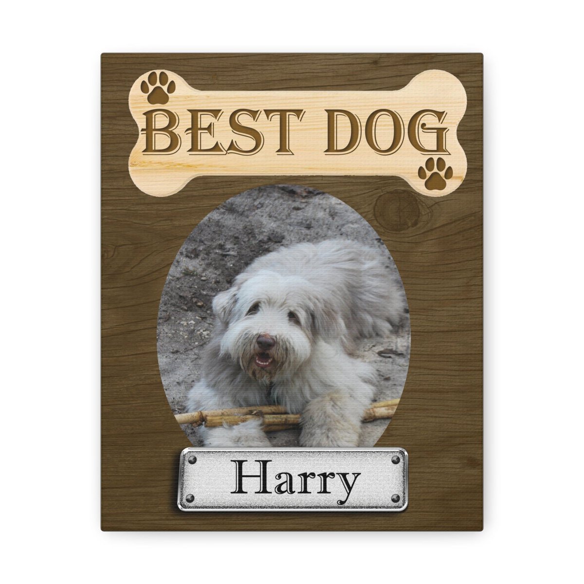 Personalized Best #Dog Award #Canvas Sign #WallArt Custom FREE SHIPPING thehairydogstore.com/products/perso… #cctag @Saracom
