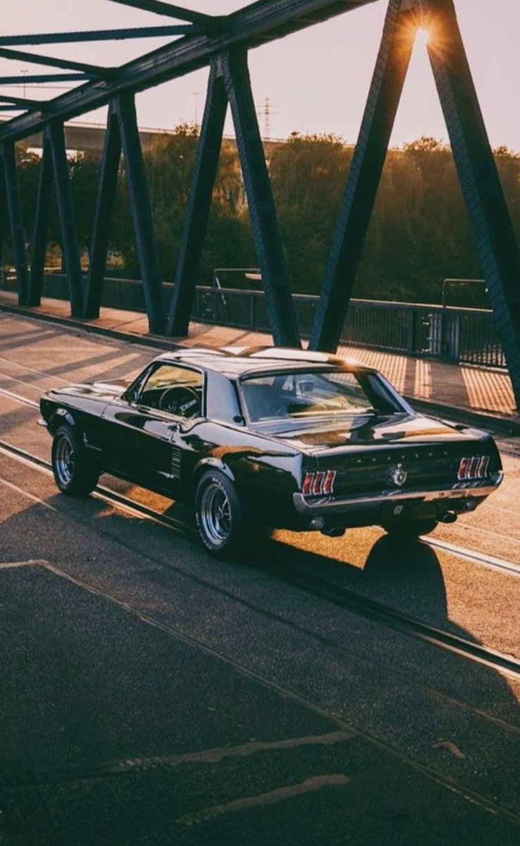 ✨Classic 🐎🇺🇸✨
#TailLightTuesday