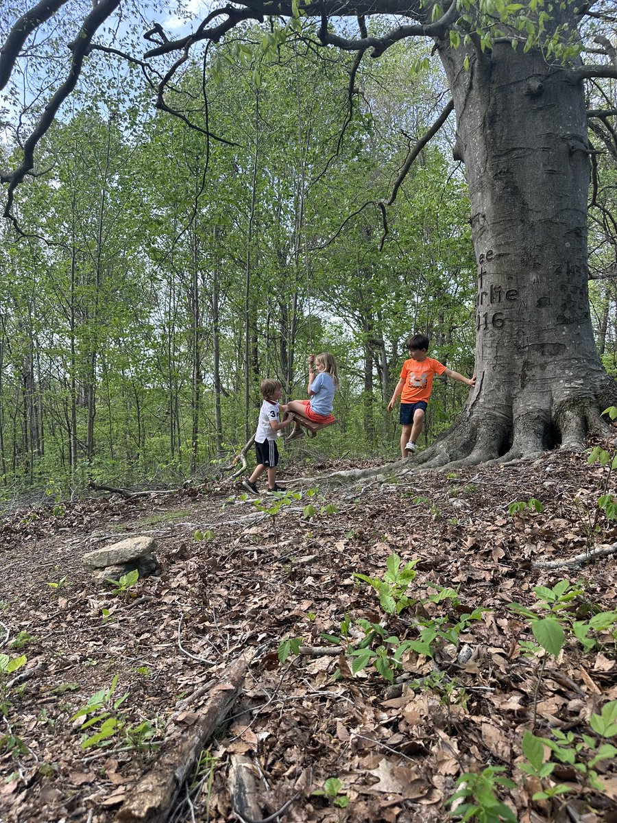 2 miles to the top of this mountain and they’re “Sooooo tired” and then they found this rope swing and their energy came back like magic!