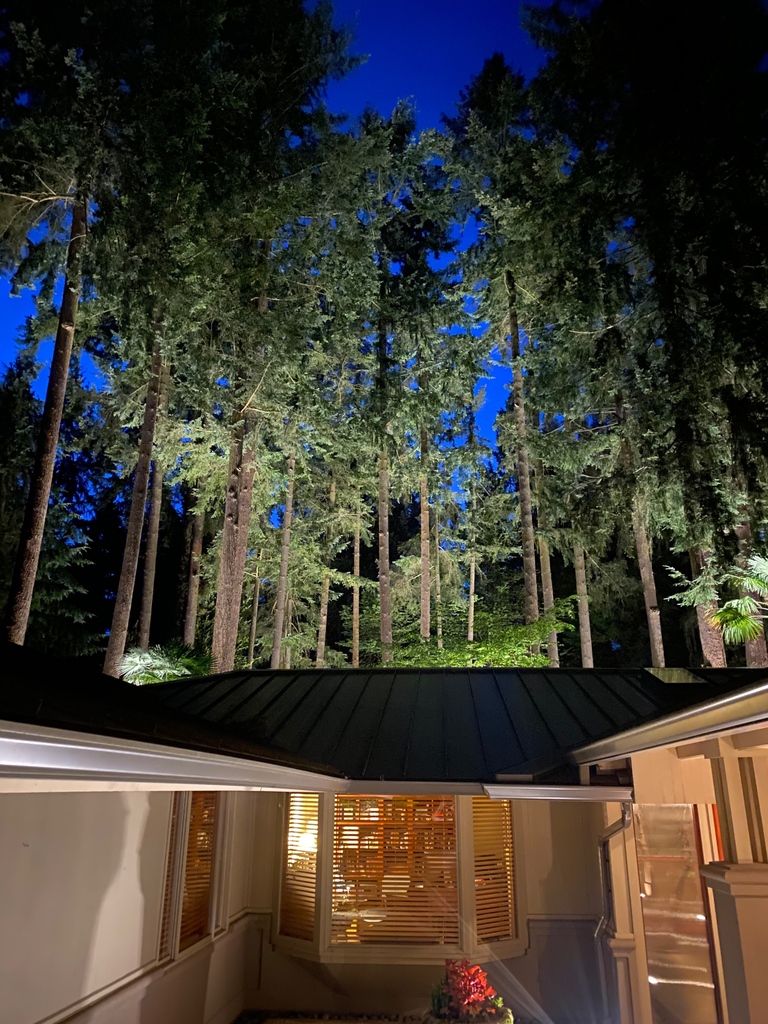 When you can see the back yard trees lit from the front of the home. 

#outdoorlighting #uplighting #landscapelighting #washingtonoutdoorlighting