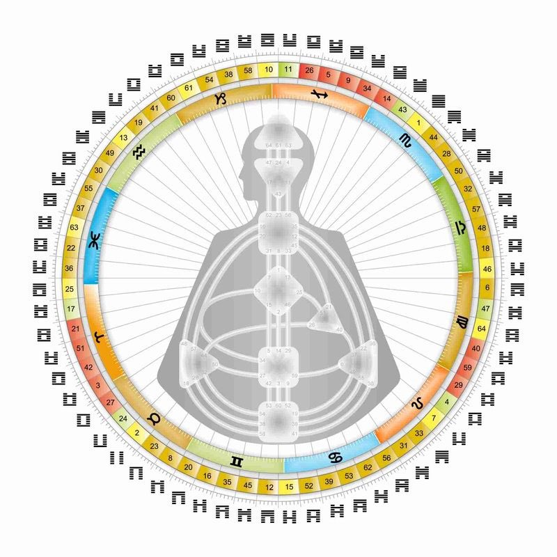 formattunement's tweet photo. It’s wild how this goofy looking diagram explains literally everything about life if you know how to read it https://t.co/beItb14ShD