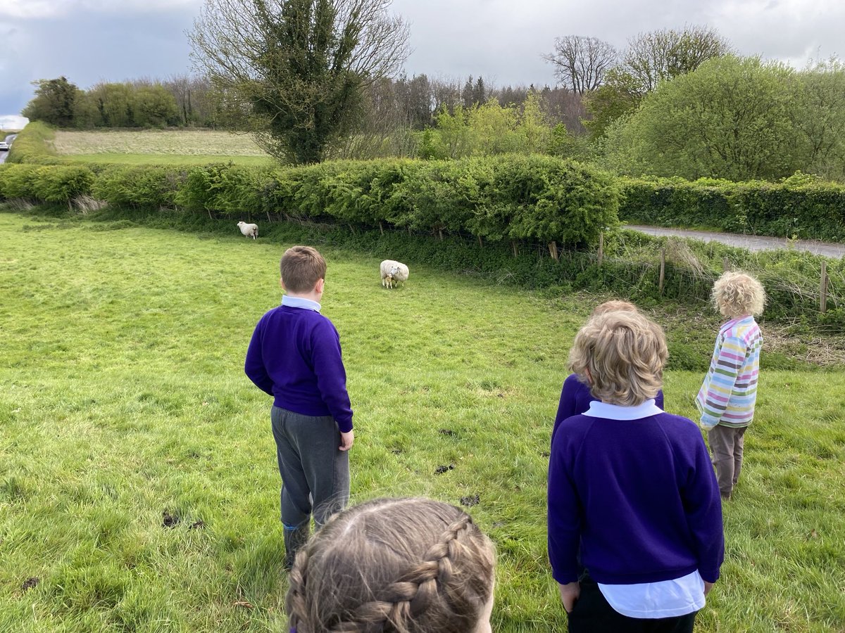 The rain stayed away for our afternoon #schoolvisit from Goodnestone Primary school #livelambing So important to get that link between food & farming at a young age #backbritishfarming ⁦@LeafEducation⁩