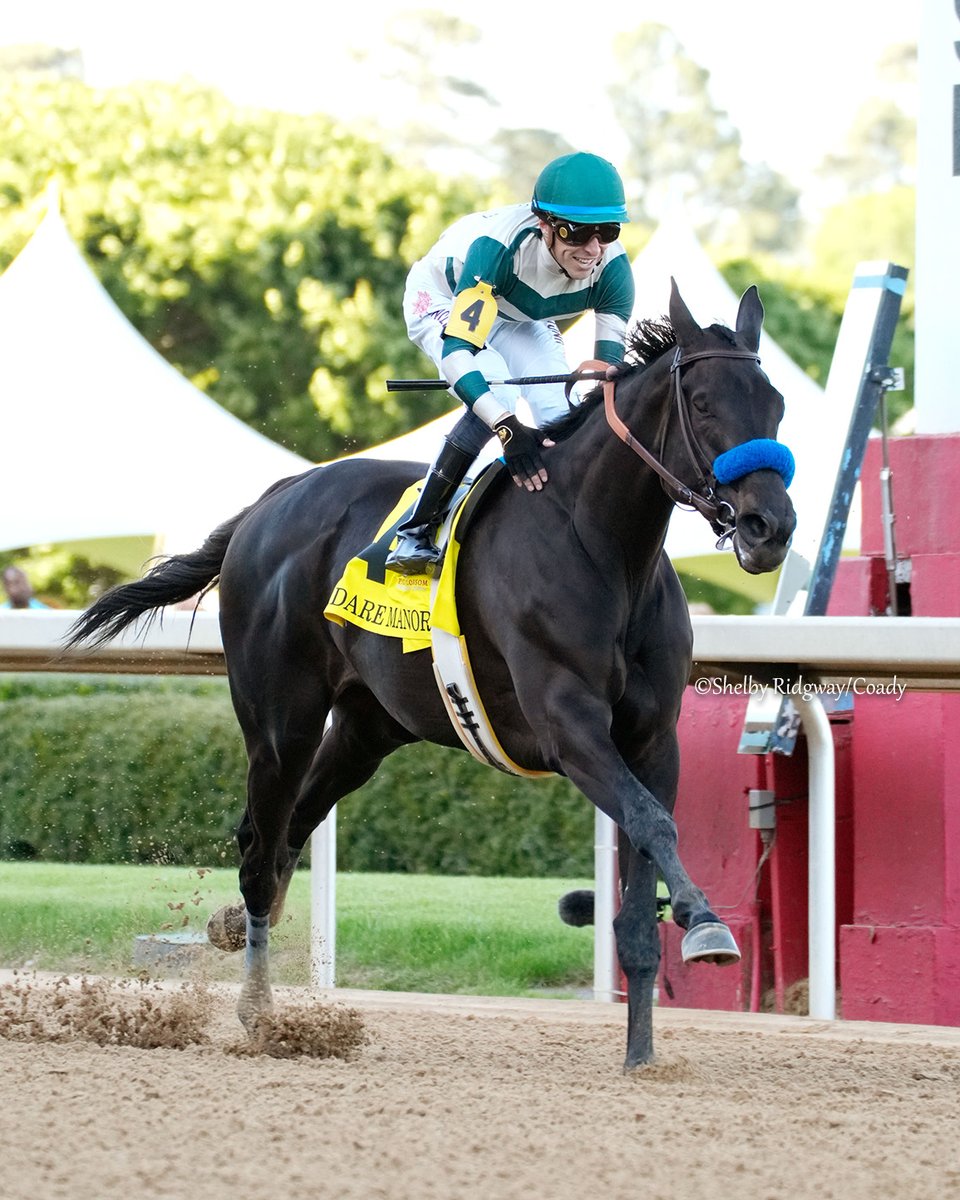 theTDN's tweet photo. #SaturdayRecap: The big girl is back! ADARE MANOR (Uncle Mo) picked up another career Grade I victory as she stormed ahead in the GI Apple Blossom Handicap at @OaklawnRacing, winning by 5 1/2 lengths with @JJHernandezS19 aboard.
Owned by Michael Lund Petersen, she is trained by Bob Baffert and was bred by @TownCountryFarm & Gary Broad.
