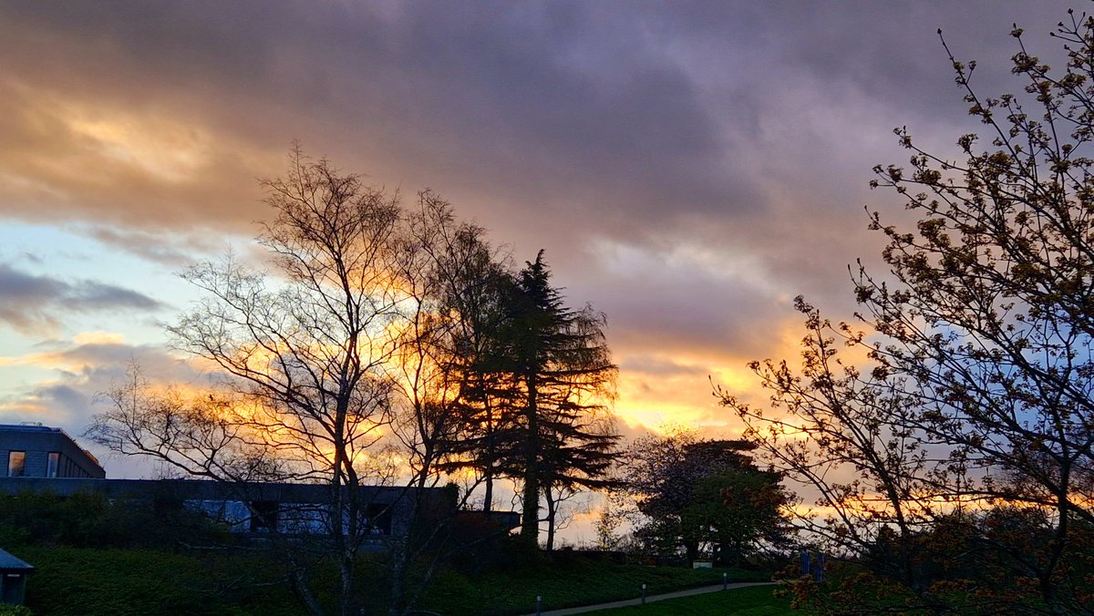 Sunshine this evening around @StirUni Campus #Stirling (16/4) #WeatherWatcherGraham @BBCScotWeather @bbcweather @BBCAimsir #loveukweather✔️ @ThePhotoHour #StormHour