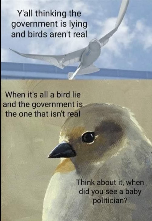 Birds. Aren’t. Real. Politicians are the pests.