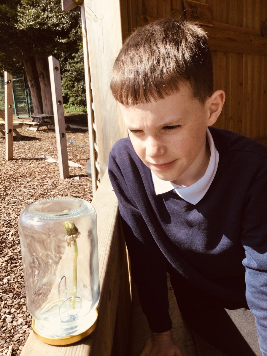 Forest School: Tick tock dandelion clock! We enjoyed learning about dandelions and took part in an experiment. We used a jar, stone & paper clip to see if we could observe the magical change. @CreativeSTAR @cosydirect @Muddyfaces @satrust_