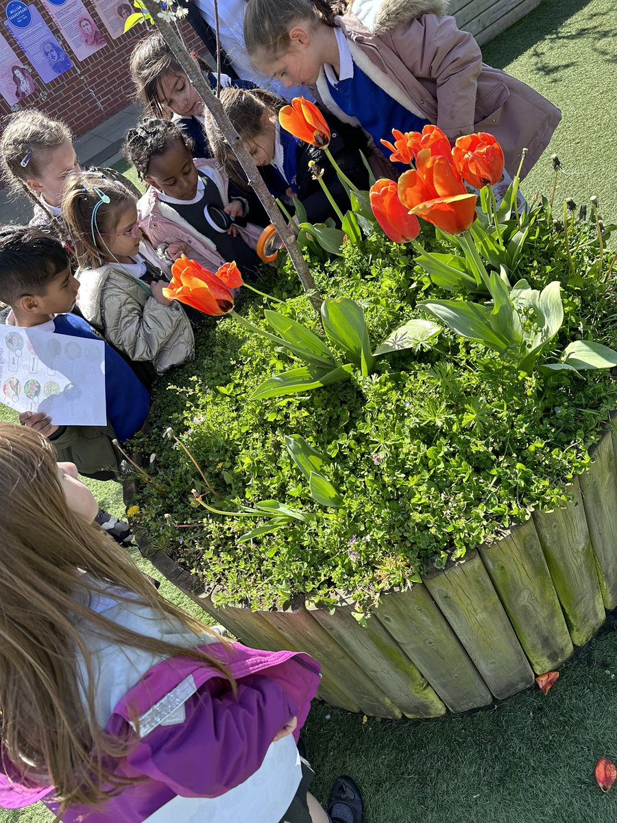Class 1W tweet media