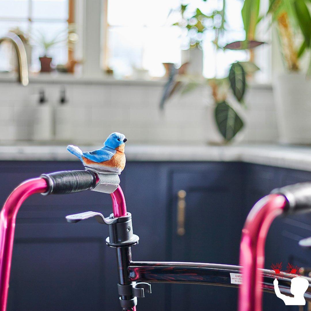 Walker Squawkers from @agelessinnovation help older adults remember to use their walking devices with cheerful birdsongs.  #dementia #olderadults #wellness