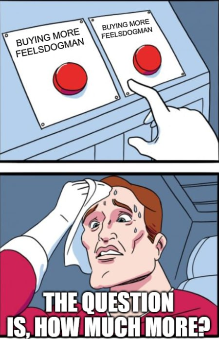 basefeelsdogman's tweet photo. you only have two options to choose.

buy $woof or ape #woof 

when Jeets out, we moon https://t.co/RMwhJ4BQjX