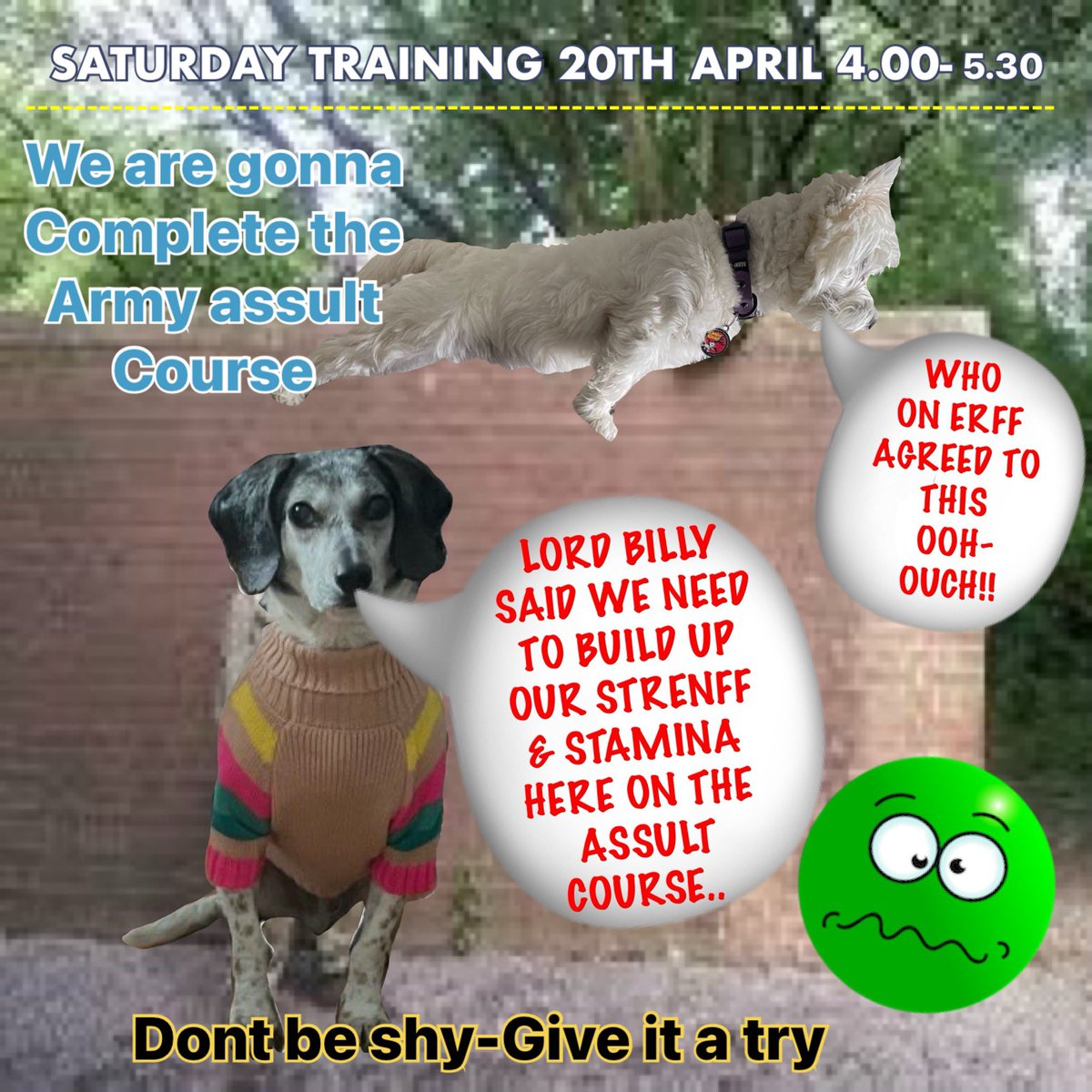 #zshq 😀😃😄😁😆🥹😅😂🤣🥲☺️😊😇🙂🙃@Helen09Porter Oh lard........ yepp our great founder and his nephew lord Billy have been watching us😱😳 Yepp they recommend we improve our strenff & stamina Yepp we gonna do it! WE GONNA DO AN ASSULT COURSE.....☺️😉 WE CAN DO THIS