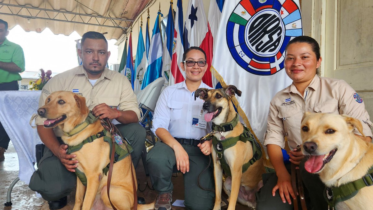 El objetivo de esta capacitación -que se desarrolló en Tocumen, #Panamá🇵🇦- es fortalecer la detección oportuna de esta plaga que pone en riesgo la salud animal y humana.