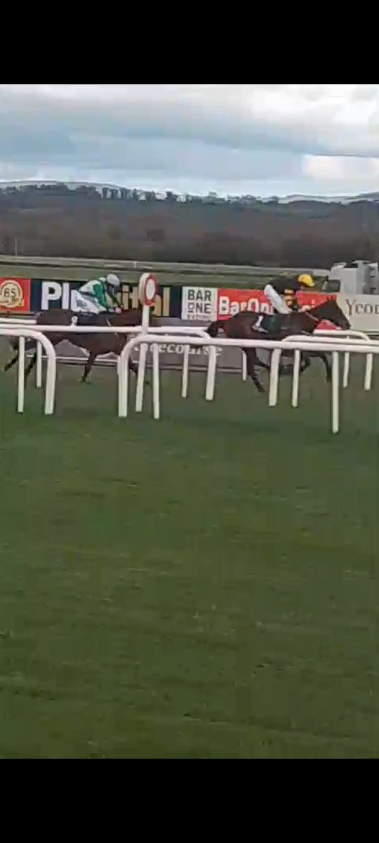 Crescent Moon 5/4 tried to make all in the bumper but easy to back Blue Mosque finished well to land @mcmanusbookie fillies' bumper at @NaasRacecourse. Finn Tegetmeier with a deserved turn after losing a Punchestown bumper in February when he weighed in light #Naas