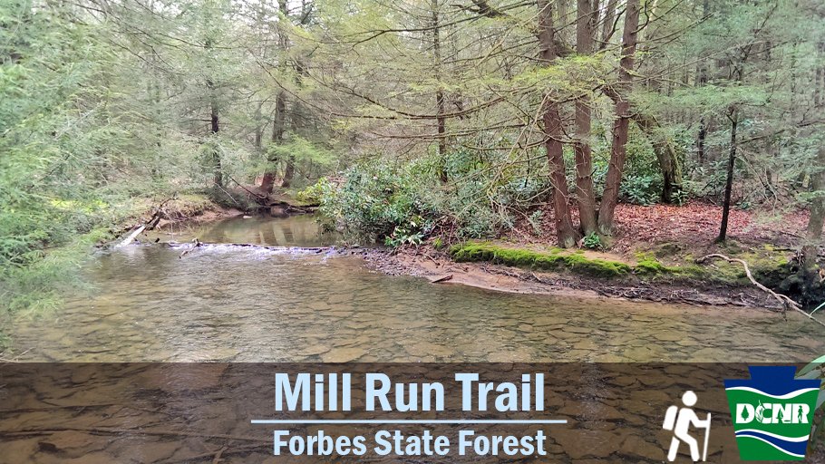 The 2.5-mile Mill Run Trail in #ForbesStateForest has plenty of opportunities to see signs of spring! Hikers can see wildflowers and vernal pools along the trail during April and early May. Learn more ➡ bit.ly/3jKzAjX. #TrailTuesday #GetOutdoorsPa #PaStateForests