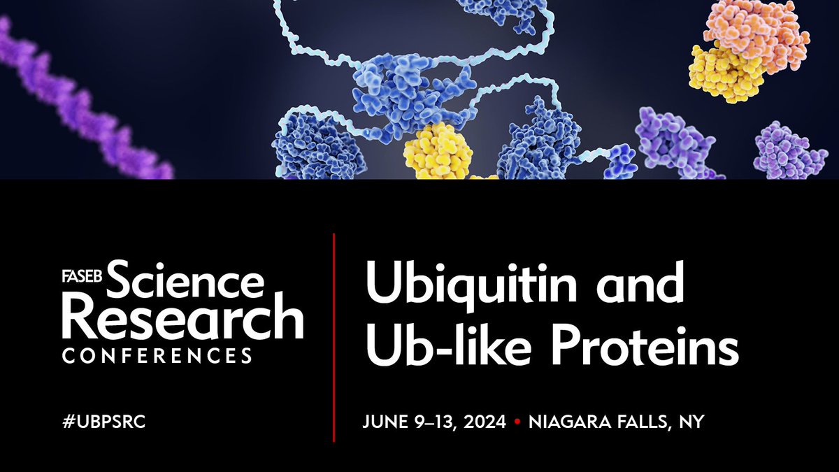 FASEB (@faseborg) on Twitter photo Have you registered for our Ubiquitin and Ub-like Proteins conference yet? Register on or before April 28 and save $150 on registration! Join organizers <a href="/kyliejwalters/">Kylie Walters (she/her)</a>, <a href="/LabJoazeiro/">Joazeiro Lab</a>, and Yue Xiong, PhD, in Niagara. #UBPSRC
Save your space: hubs.ly/Q02t1rgd0 Have you registered for our Ubiquitin and Ub-like Proteins conference yet? Register on or before April 28 and save $150 on registration! Join organizers <a href="/kyliejwalters/">Kylie Walters (she/her)</a>, <a href="/LabJoazeiro/">Joazeiro Lab</a>, and Yue Xiong, PhD, in Niagara. #UBPSRC
Save your space: hubs.ly/Q02t1rgd0
