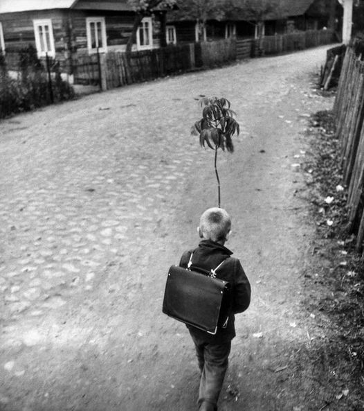 'Existe algo tan inevitable como la muerte: la vida'.
Charles Chaplin
📷Antanas Sutkus