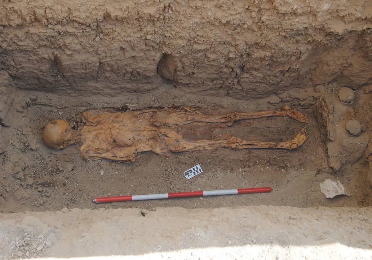 La misteriosa tumba de la momia maldita hallada en Egipto abc.es/cultura/mister… vía @ABC_Cultura @marqalicante @arqueoubu @redhistoria @MasArqueologia @botimaz @despacitocgf