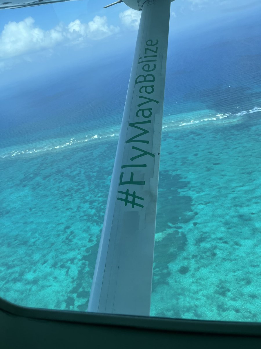 RussellGrant23's tweet image. san pedro belize!
#flymayabelize
at the new marriott #autographcollection