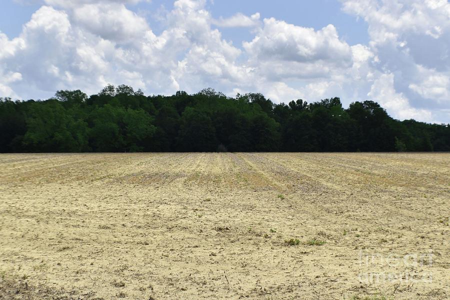 I'm sure all the "protected belief" Forstater stans will be along any moment now to condemn Katharine Birbalsingh for suppressing lawfully protected beliefs.

Any moment now.

*checks watch*

Any moment now.
