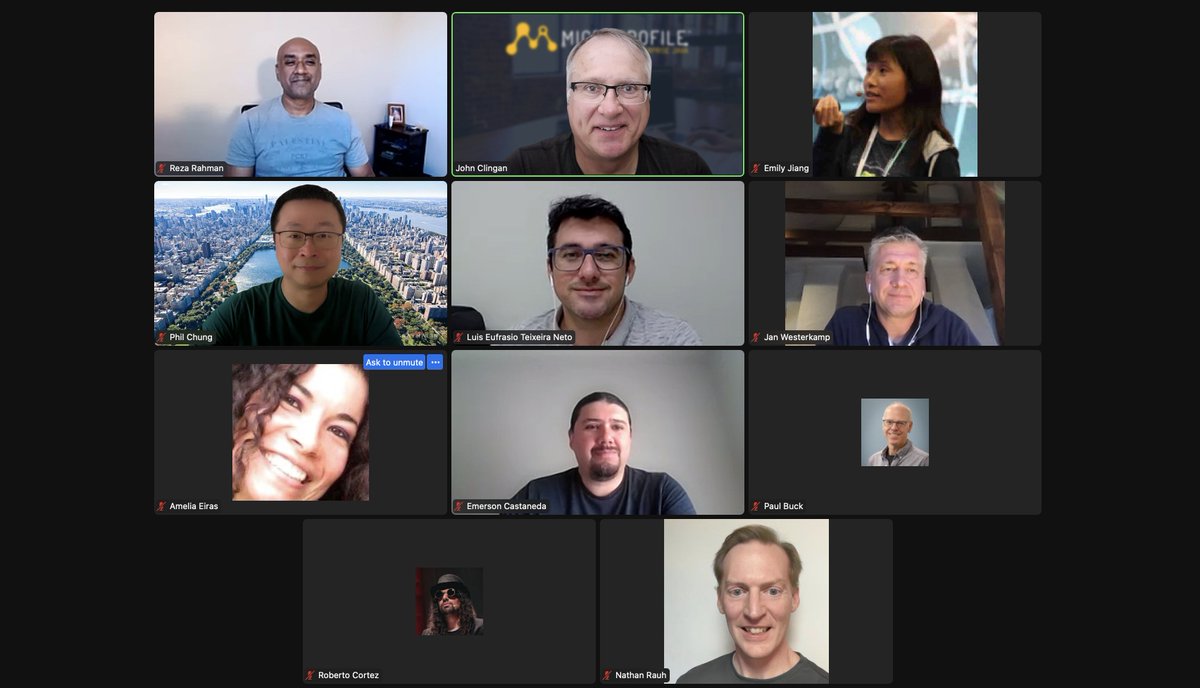 Today's <a href="/MicroProfileIO/">MicroProfile</a> Live Hangout crew.