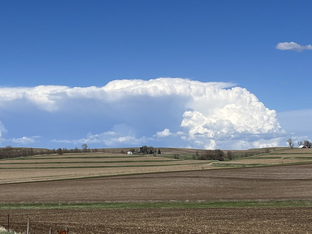 Andrew Ansorge tweet media