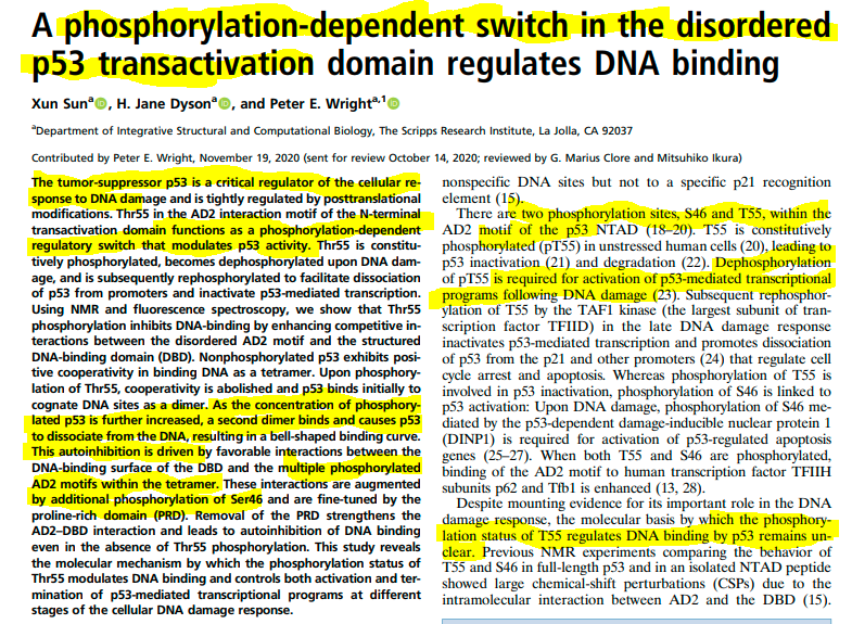 @janiesaysyay But wait, there's more...on p53 suppression....once again excess phosphorylation is THE KEY !!