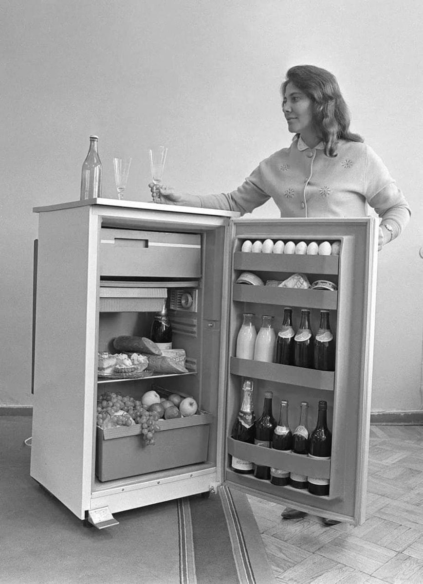 Девушка демонстрирует ,как выглядит холодильник Советского человека.