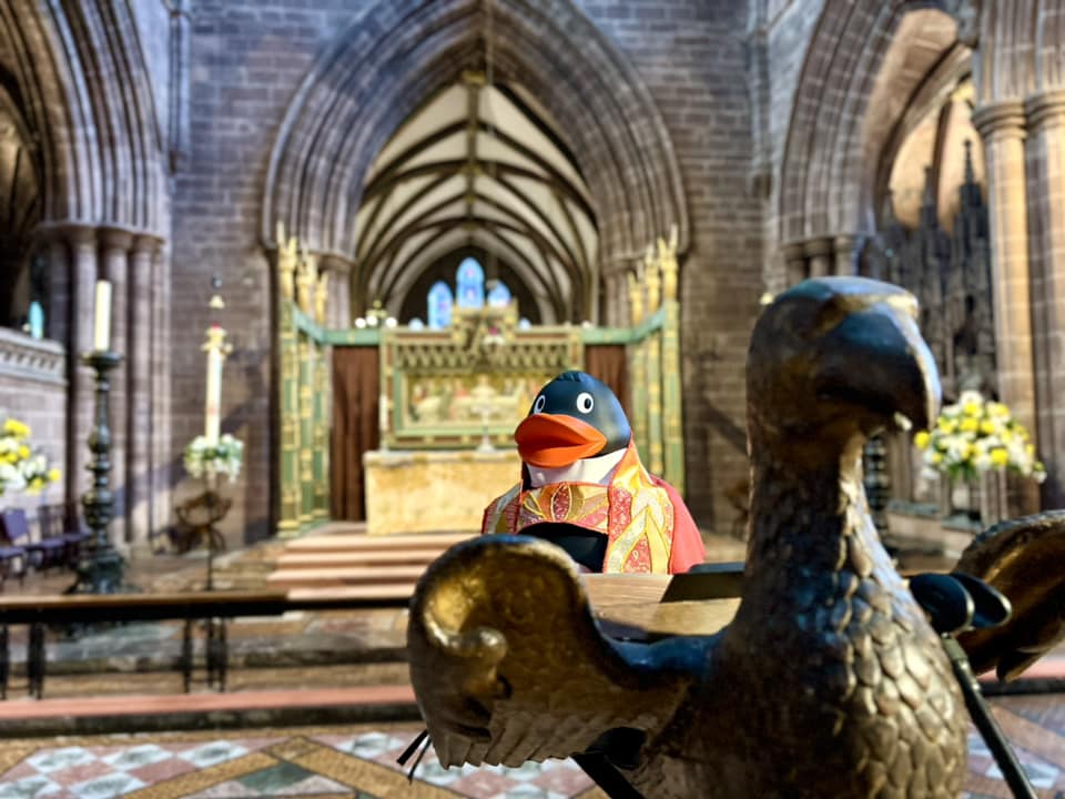 Good luck to all taking part in the @TheCountessNHS Charity Duck Race that starts at 3pm tomorrow on the River Dee! We hope you all have a 'quacking' time! #TakeTheTrain and make a day of it! #midcheshirerailwayline #chester #community #charity @northernassist @BeeNetwork