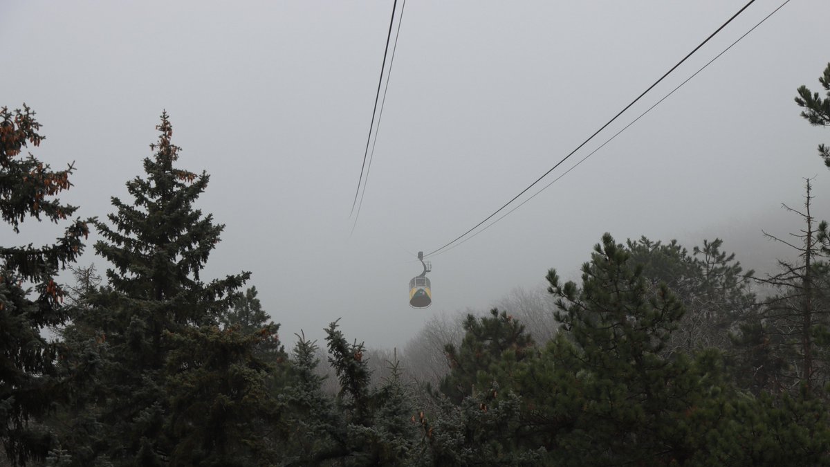 Cable car leading into the fog. #fog #streetphotography #photo #photography #photos #vadimisakovphotos