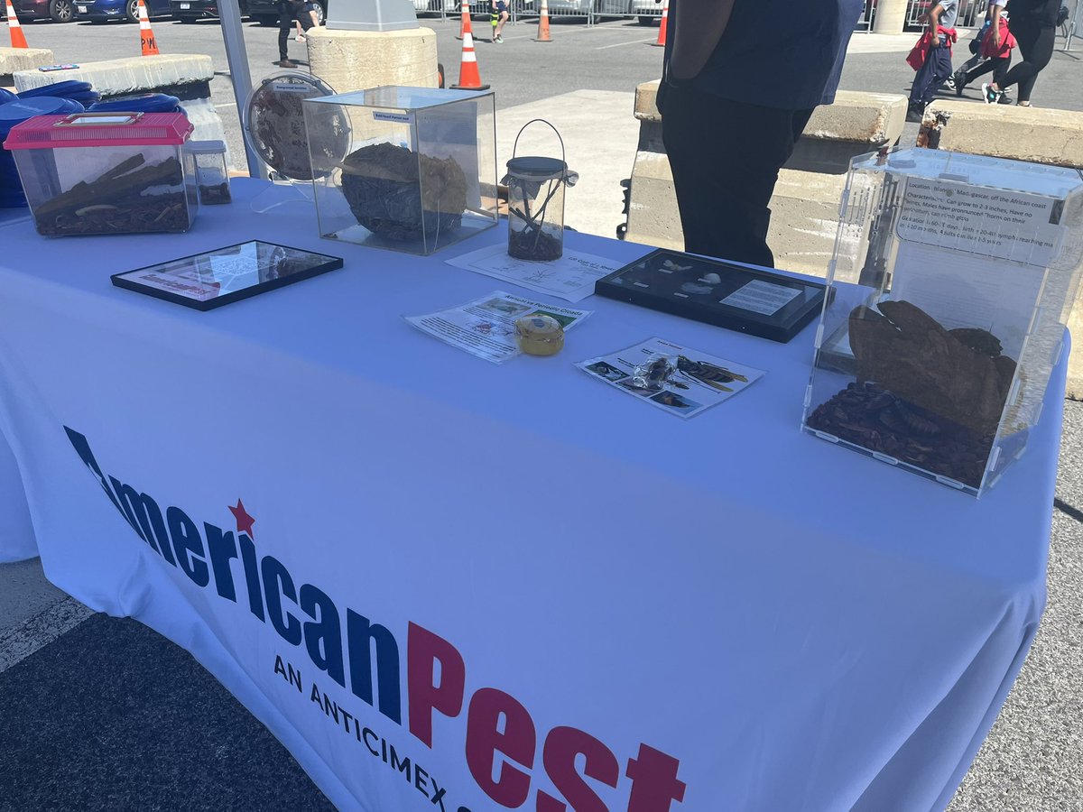 AmericanPest tweet picture