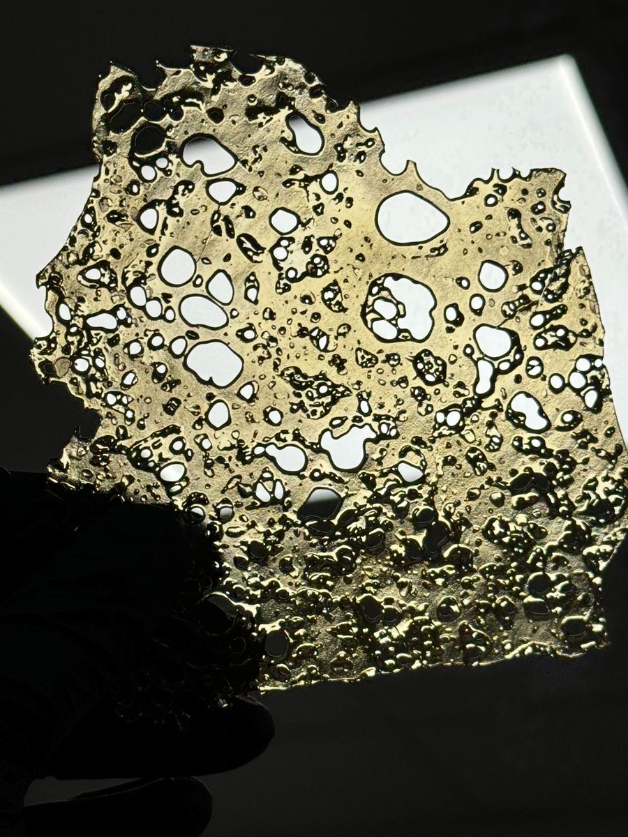 🪬Lisa Campbell🪬 tweet media