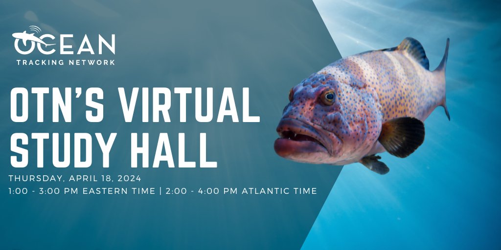 Ocean Tracking Network tweet media