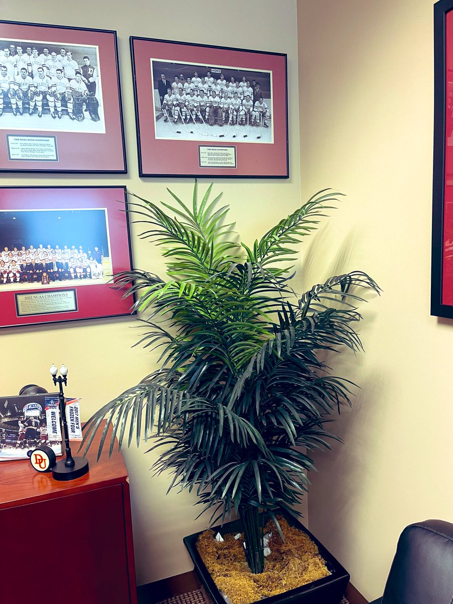 In <a href="/DU_Hockey/">Denver Hockey</a> Coach David Carle’s office, this plant will soon move to make room for the 10th championship team photo. (He added that it’s a fake plant, so there will be no loss of life.) Our interview with Carle airs Wednesday on Colorado Matters.