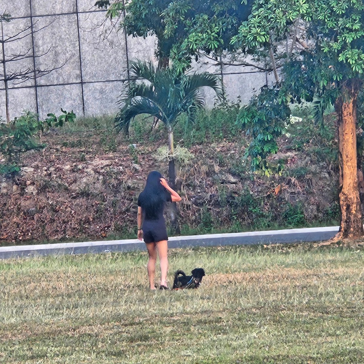 illusbydenden's tweet photo. Akala ko rin may CSheep, pero cute na rin mag-people watch haha https://t.co/y4x5G9VDN2