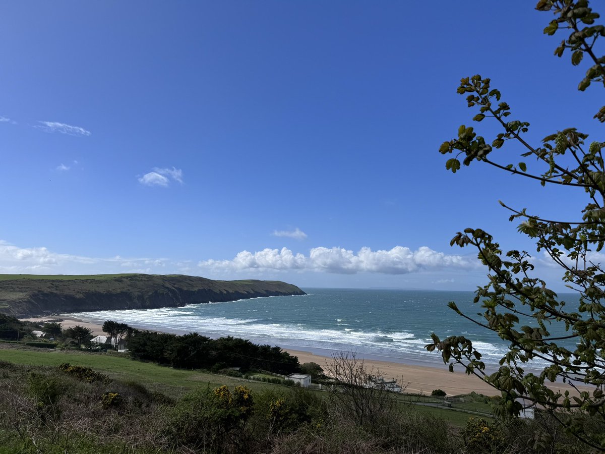 BurtieBrom's tweet photo. It’s been another fine day in Woolacombe 😎 Stanley missed auntie Sue for the second time, but did score a small amount of Enricos🤪 @BeachWoolacombe @WoolacombeTIC #beachlife https://t.co/w8dLAnOFC9